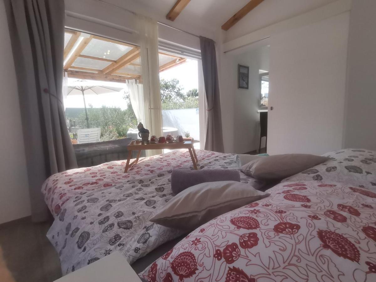 Villa Molo Novigrad Istria Kültér fotó
